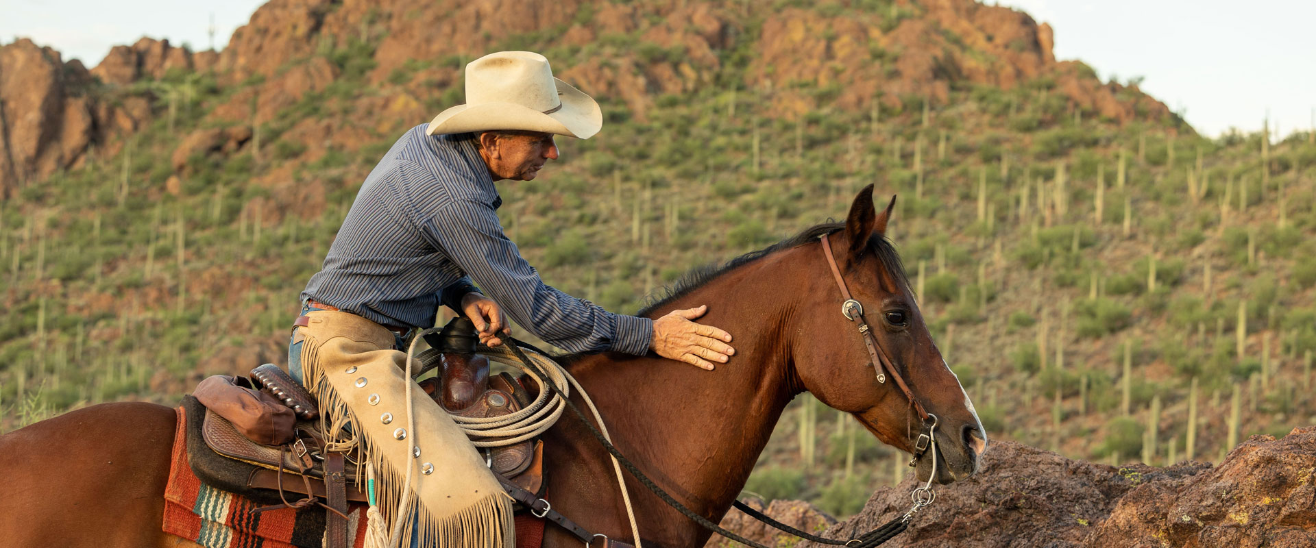 Man on horseback in desert